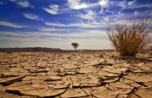 19 big dams of the country on the verge of complete death / Which provinces have the most water stress? / Introducing the causes of the water crisis