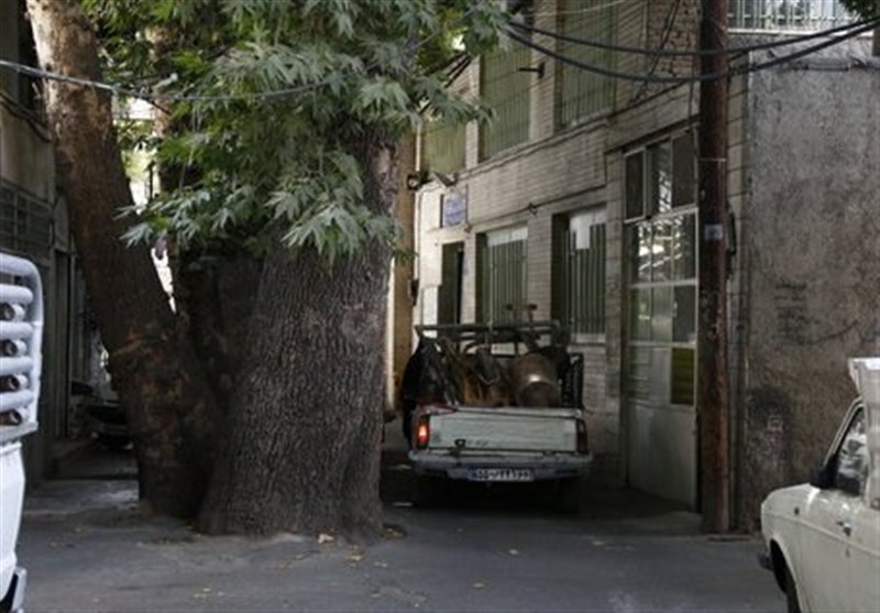 Tehran news "Pachnar" at the center of restoration programs of the capital's bazaar/ unveiling of the 40 km water supply project