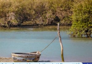 آغاز اولین مطالعات جامع میراث ملموس و ناملموس زیست کره حرا قشم