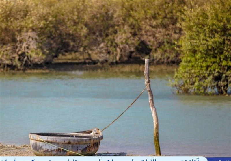 آغاز اولین مطالعات جامع میراث ملموس و ناملموس زیست کره حرا قشم