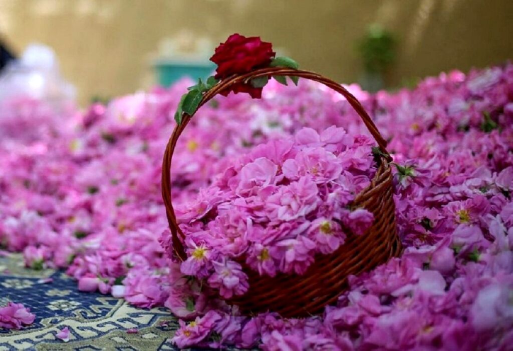 اطلاعات گمرک نشان می دهد که عربستان و ترکیه این محصول ایرانی را به عنوان نام خود نامگذاری کرده اند