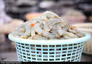 افزایش 20 درصدی صید ماهی در دریای خزر