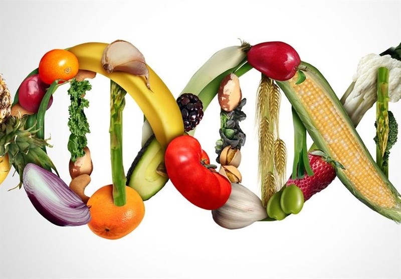 بقایای محصولات تراریخته به محیط زیست آسیب می‌زند