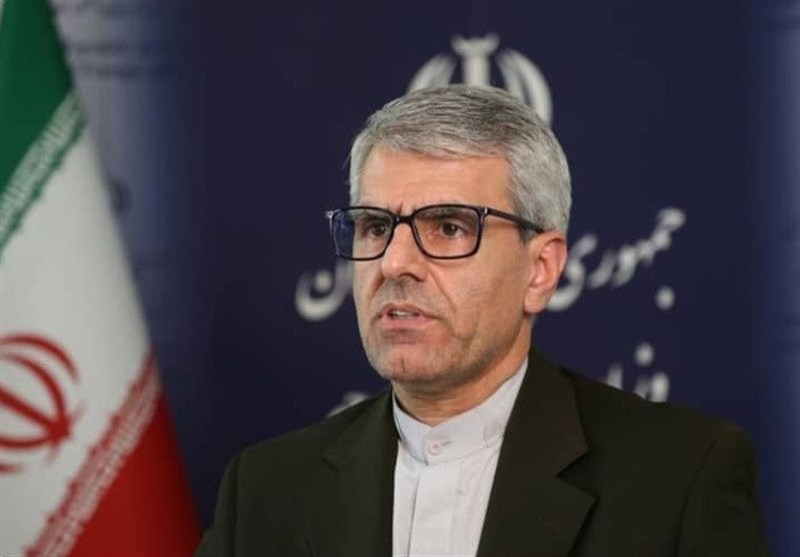 بقایی: مصوبه جدید شورای حکام قطعا با واکنش ایران مواجه خواهد شد