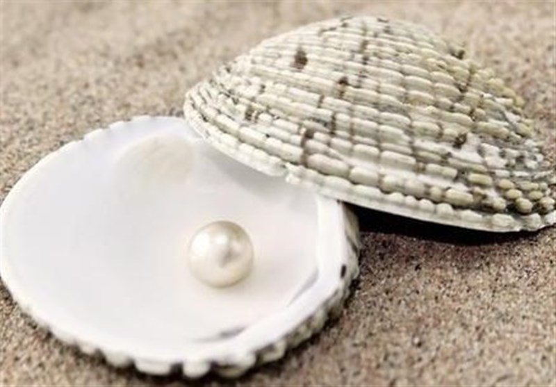 بندر مقام، پایتخت مروارید ایران می‌شود؟