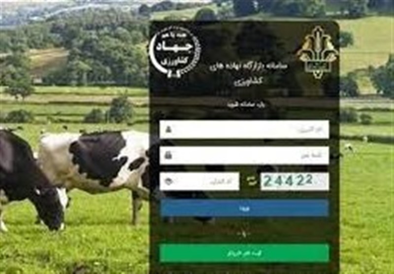تشدید نظارت بر بازار؛ حساب متخلفان مسدود و پرونده ها به تعزیرات ارسال می شود