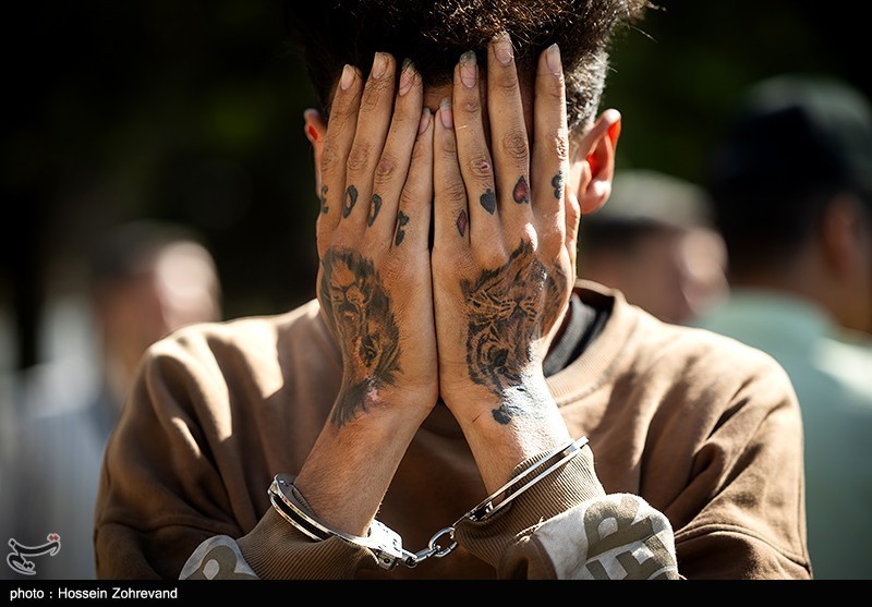 تیراندازی پلیس به فرار متخلف پایان داد