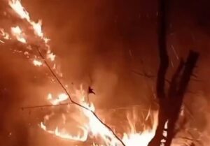 جزئیات عملیات اطفای حریق در مناطق کوهستانی و جنگلی نخبه