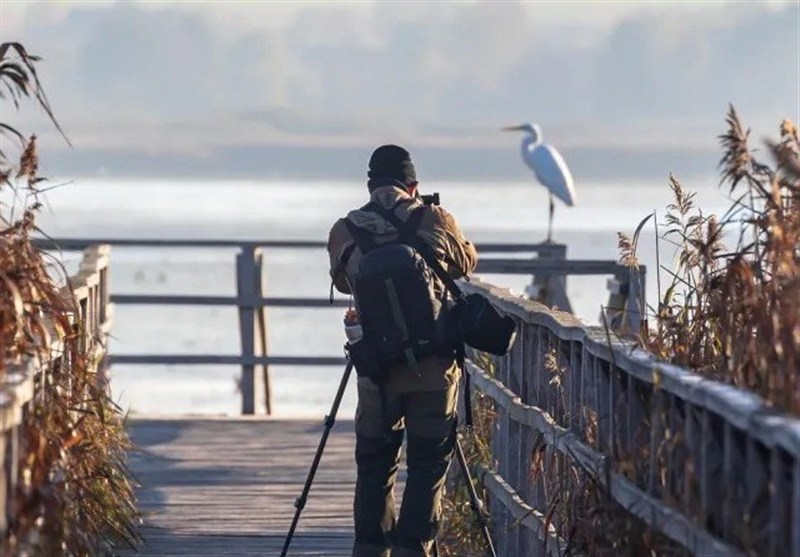 رسانه عبری: جاسوس‌های اسرائیلی اطلاعاتی بسیار حساس را به ایران منتقل کرده‌اند