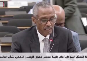 سخنرانی آتشین نماینده سودان علیه امارات: ما به صدقه شما نیاز نداریم!