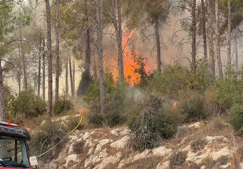 طبیعت خشک و مراقبت از آتش سوزی