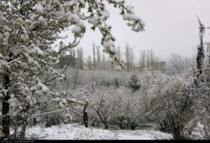 هشدار هواشناسی به ۲۵ استان؛ خسارت به محصولات کشاورزی با تشدید بارشها