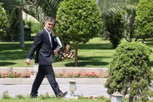 فرزین به مجلس می رود؟