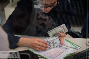 آیا بانک مرکزی در تلاش برای ثبات، پازل ارزی کشور را تکمیل خواهد کرد؟