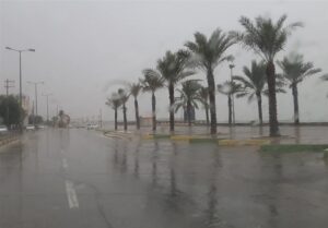 60 میلی متر باران در شمال استان بوشهر ثبت شد