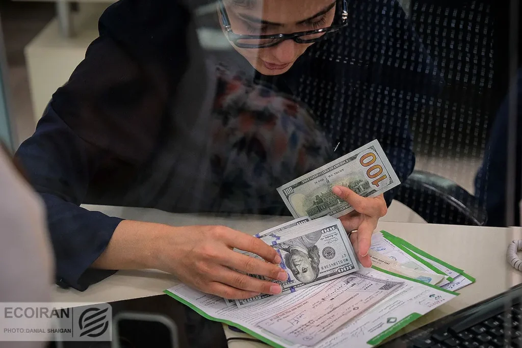 آیا بانک مرکزی در تلاش برای ثبات، پازل ارزی کشور را تکمیل خواهد کرد؟