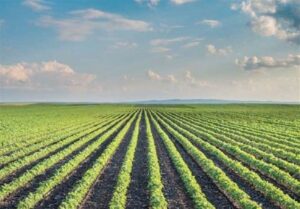 اجرای طرح کاداستر در یک میلیون و 220 هزار هکتار از اراضی کردستان