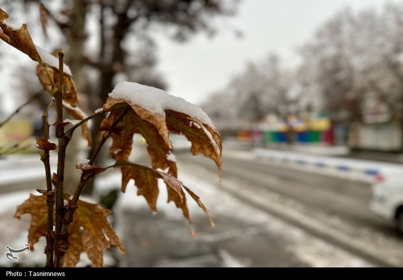 ادامه سرمای هوا در سمنان؛ پیش بینی بارش برف و افزایش گرد و غبار جوی