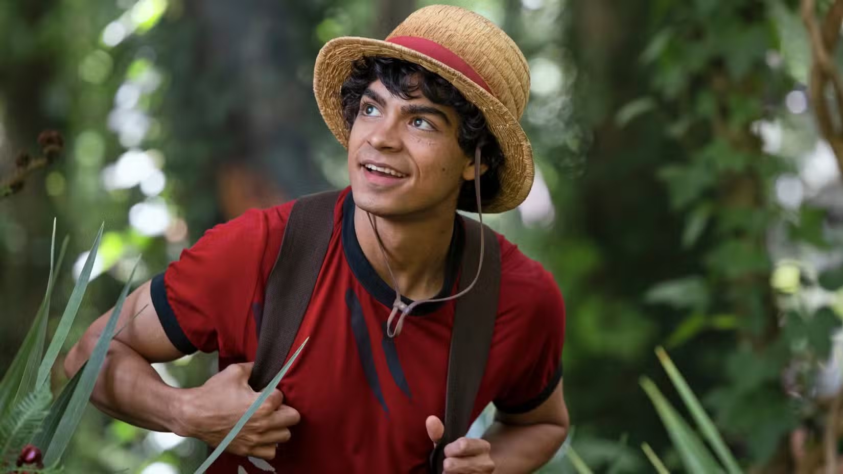 اطلاعات جدیدی از فصل سوم سریال One Piece منتشر شد - گیمفا