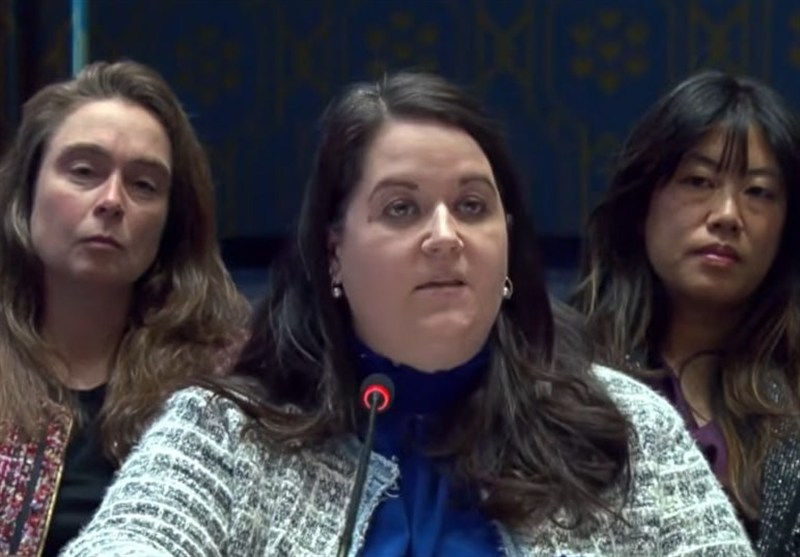 اظهارات جنجالی نماینده آمریکا در شورای امنیت درباره غزه