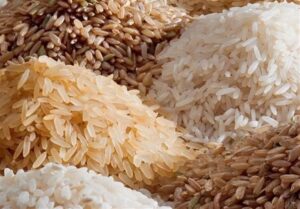 بحث | توزیع 1800 تن برنج هندی تعدیل بازار در خراسان رضوی / برنج پاکستانی در 2 هفته آینده