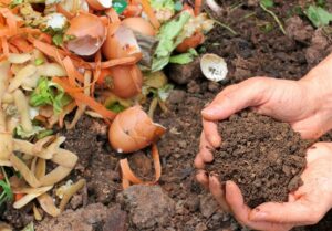 بهره برداری و تکمیل خط جداسازی 250 تن کمپوست در مدت 6 ماه