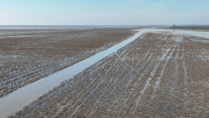 تالاب میانکاله در خطر آلودگی است