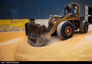 تبدیل گلستان به انبار غلات آسیای میانه/ توجه دولت به احیای جاده ابریشم