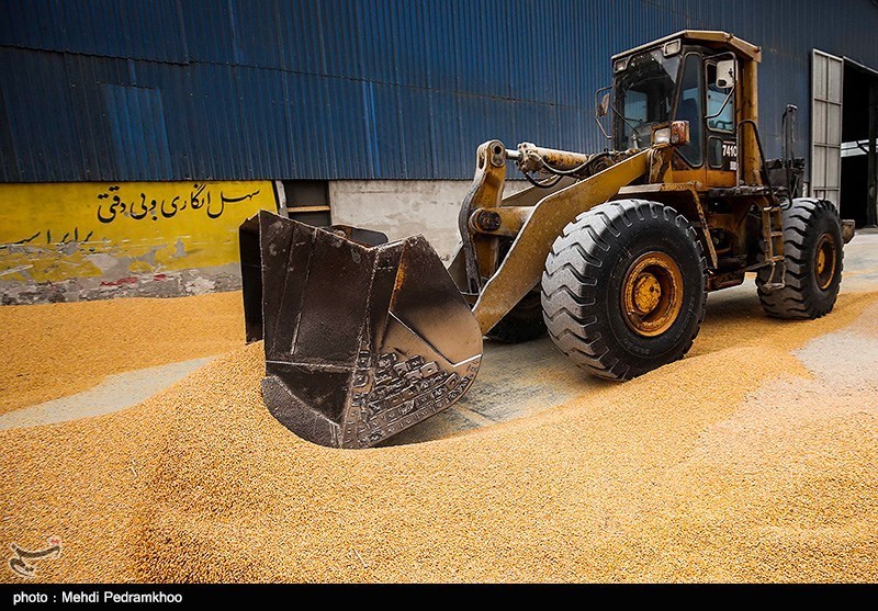 تبدیل گلستان به انبار غلات آسیای میانه/ توجه دولت به احیای جاده ابریشم
