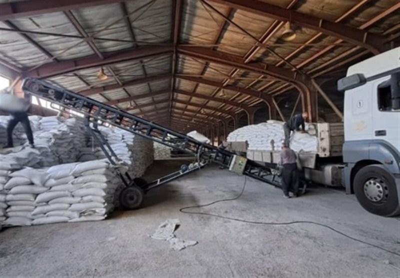 توزیع گسترده کود اوره؛ گامی استوار در حمایت از کشاورزان استان سمنان