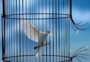 دادستان پاکدشت: آزادی ۲۲ زندانی و مرخصی ویژه شب یلدا و میلاد حضرت زهرا (س)