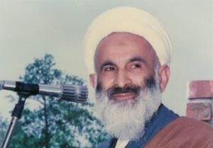 دشمنان از شبکه رهبری امام هادی هراس داشتند