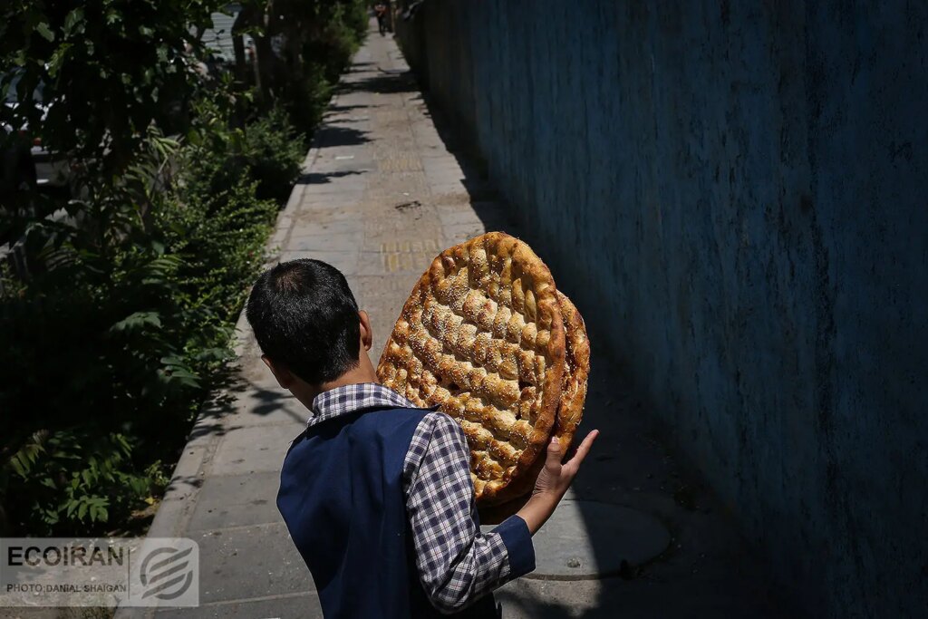 دولت این یارانه ها را افزایش داد + جزئیات