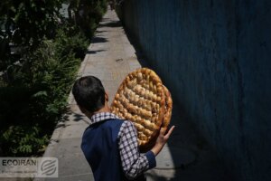 دولت این یارانه ها را افزایش داد + جزئیات