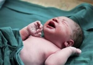 زنگ خطر آینده نظام سلامت به صدا درآمد/ با کاهش فرزندآوری مواجه هستیم