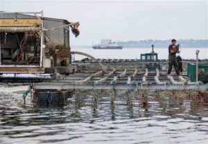 زنگ خطر در خزر; تغییر اجباری استراتژی باکو از ماهیگیری سنتی به آبزی پروری صنعتی