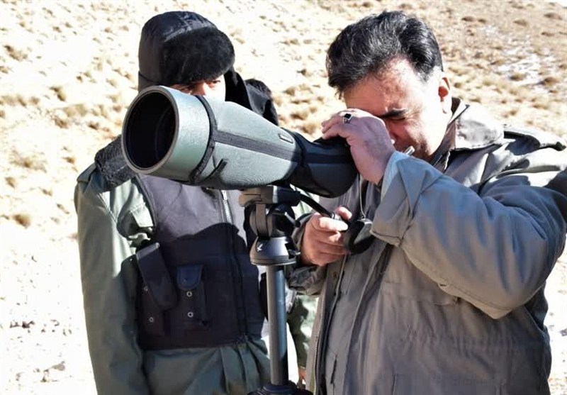 سرشماری زمستانه پستانداران با 10 تیم تخصصی در اردبیل
