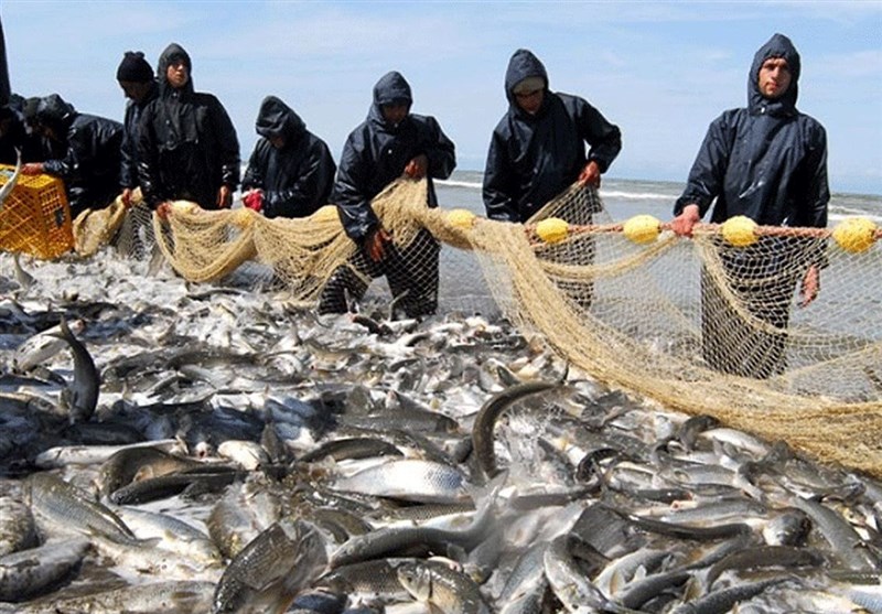 سهم یک درصدی ایران‌ از تولیدات آبزی‌پروری ‌قاره آسیا