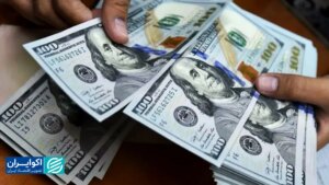 صف ارز کوتاه می‌شود؟