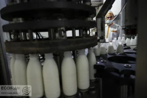 قیمت جدید شیرخام اعلام شد