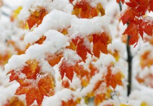 هواشناسی ایران 1304/9/16; بارش برف و باران در 23 استان / هشدار نارنجی برای 17 استان