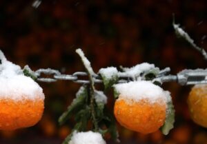 هواشناسی ایران 19/9/1404; فعالیت سامانه بارشی در 24 استان