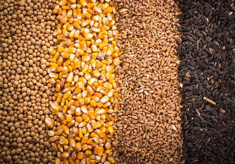 ورود 121 میلیون کیلوگرم نهاده های دامی به سیستان و بلوچستان