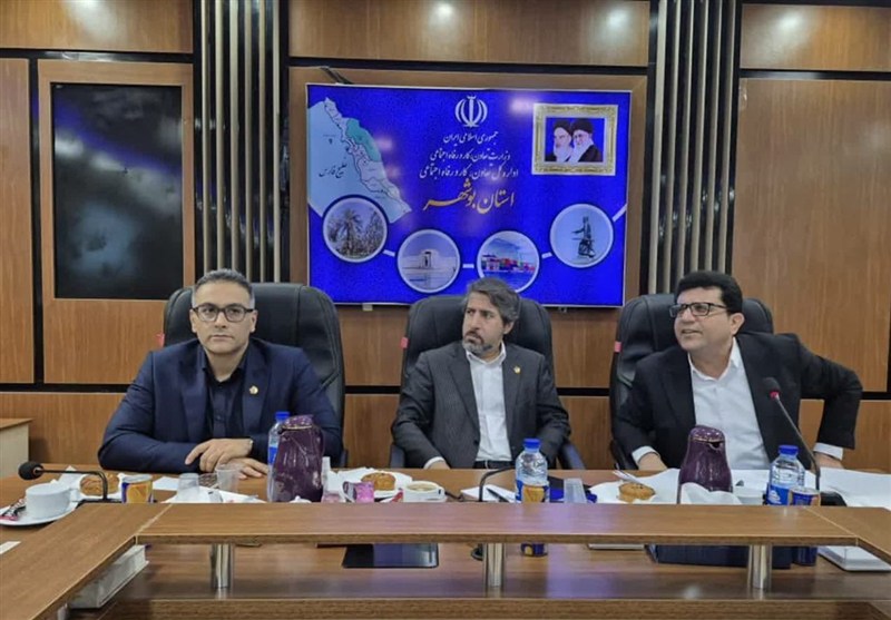 پرداخت هزار میلیارد ریال طرح های مشاغل خانگی استان بوشهر