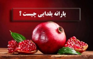 یارانه 4 میلیون یلدایی در راه است؟ + تمام سپرده های دولت به یلدا