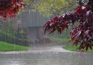بارش باران و برف در راه فارس است