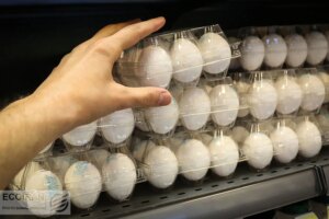 قیمت روز تخم مرغ در بازار چقدر بود؟