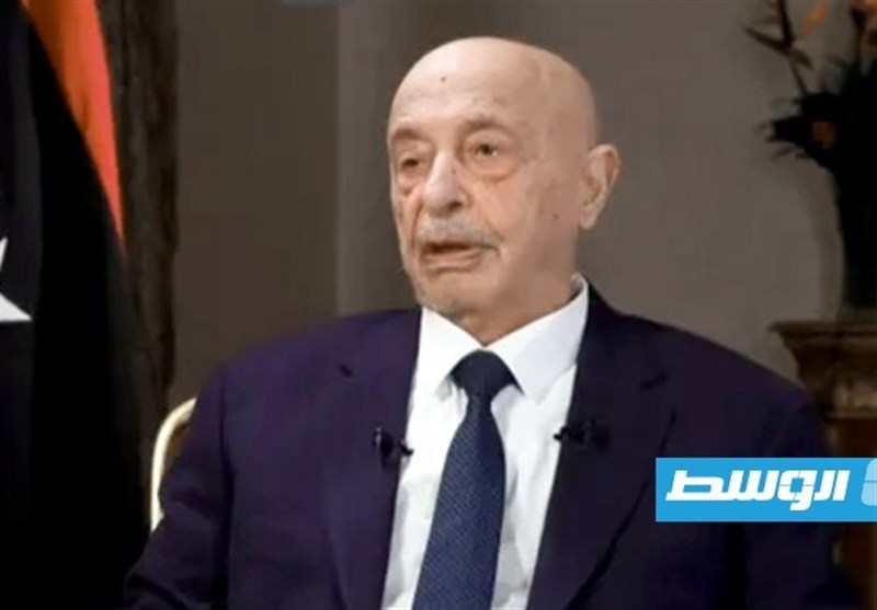 مقام لیبیایی: تشکیل دولت واحد در لیبی غیرممکن است