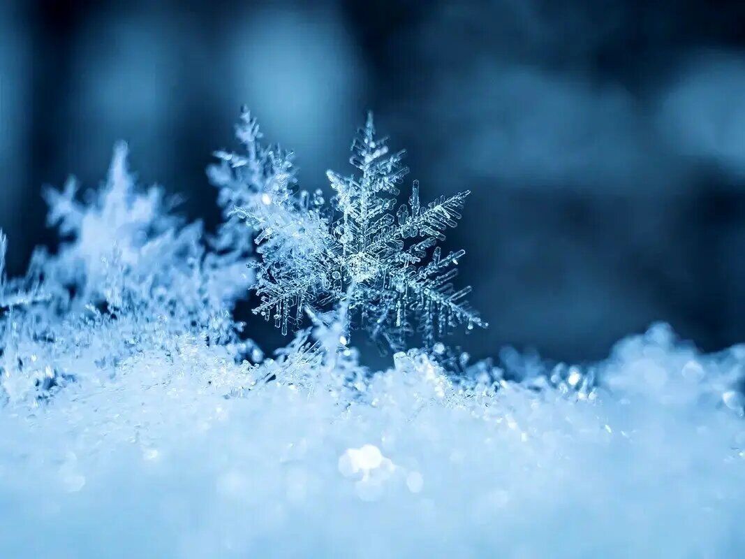 هوا سردتر می شود| برف و باران در کشور از روز یکشنبه