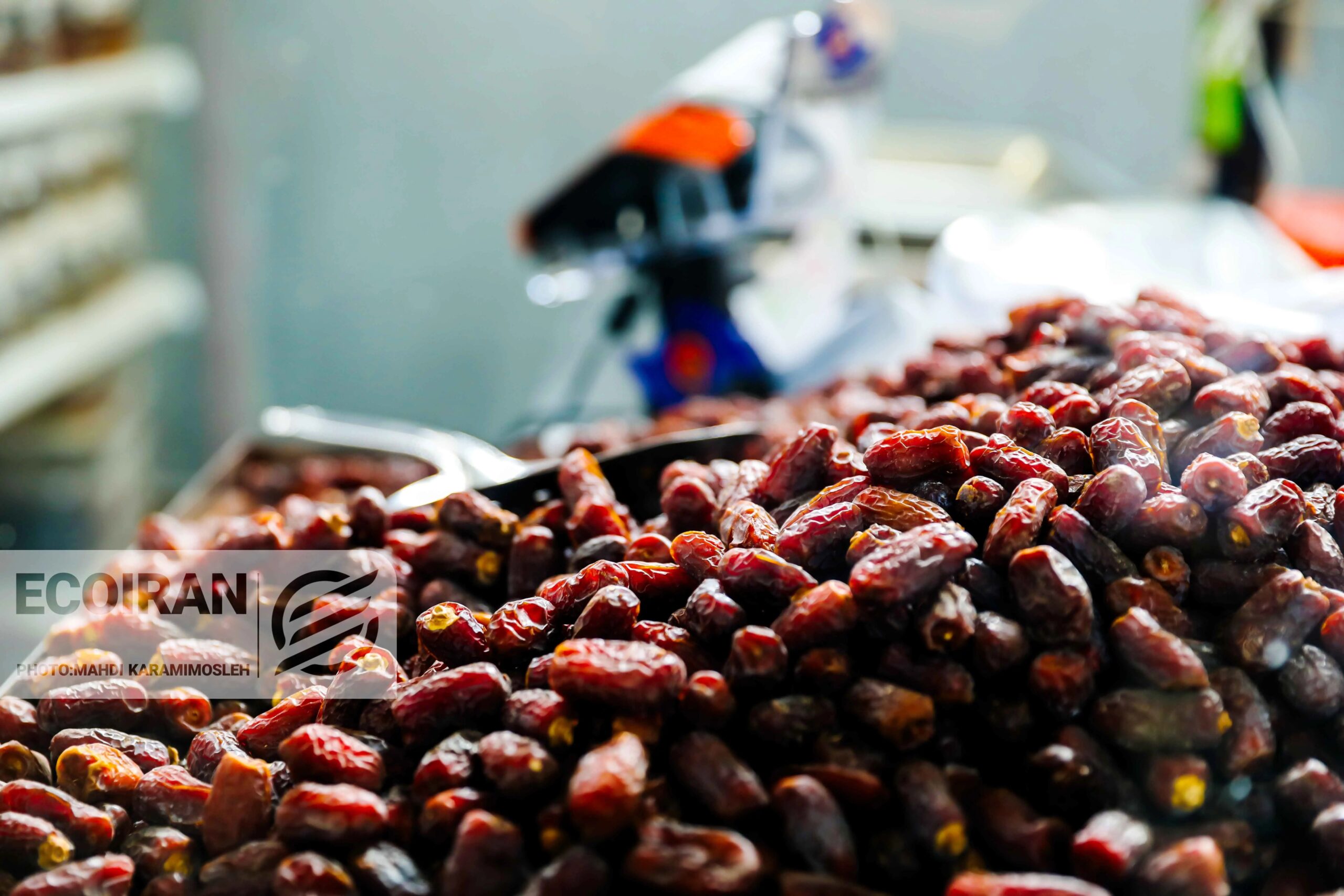 قیمت خرما درجه یک در تهران چقدر است؟